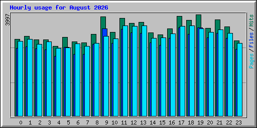 Hourly usage for August 2026